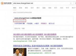 SEO技巧：网站如何增加搜狗收录的方法分享